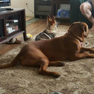 Meet your Posher, Terry